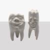 sculpture of teeth using Merlin’s Magic Hobby Stone